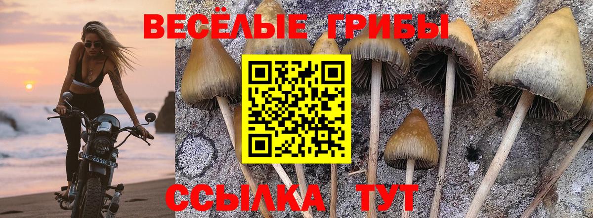 Алушта  Галлюциногенные грибы мицелий  Псилоцибиновые грибы MAGIC MUSHROOMS  Вход с VPN 